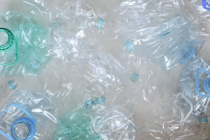 Recycled Doesn't Mean Safe: The Microplastic Journey From Your Bin to Your Bloodstream