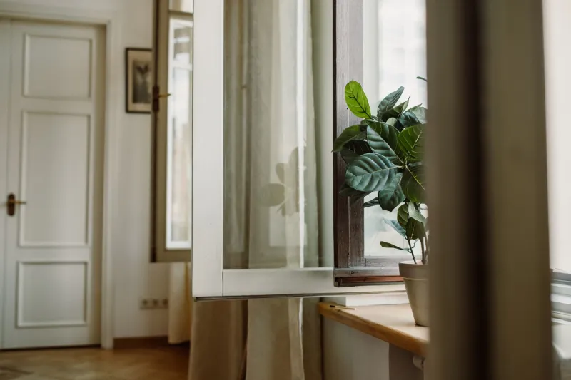 Sealed Inside a Chemical Soup: The Dirty Secret About Your Home's Indoor Air Quality